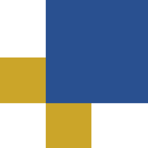 520x520 px